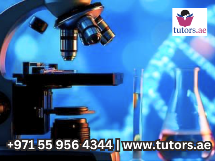 Homeschooling for IGCSE Chemistry in Jumeirah Lakes Towers